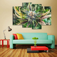 Cannabis Bloom Canvas Set