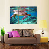 Sea Turtle Reef Canvas Set