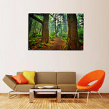 Forest Walk Canvas Set