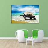 Sea Turtle Walk Canvas Set