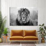 Majestic Lion Canvas Set