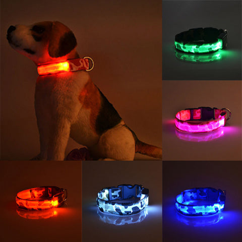 Camouflage Lighted Dog Collar
